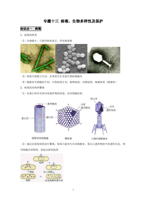 十三病毒,生物多样性及保护