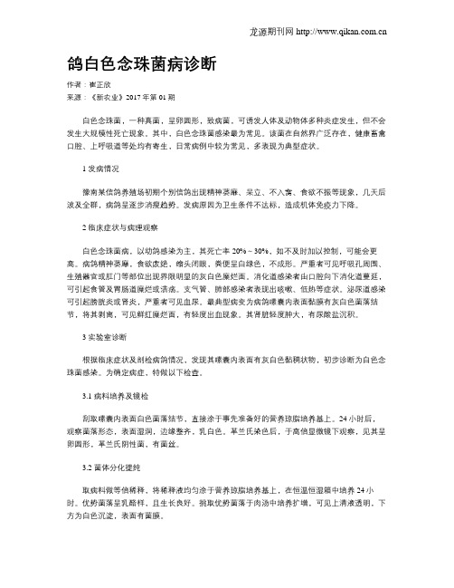 鸽白色念珠菌病诊断