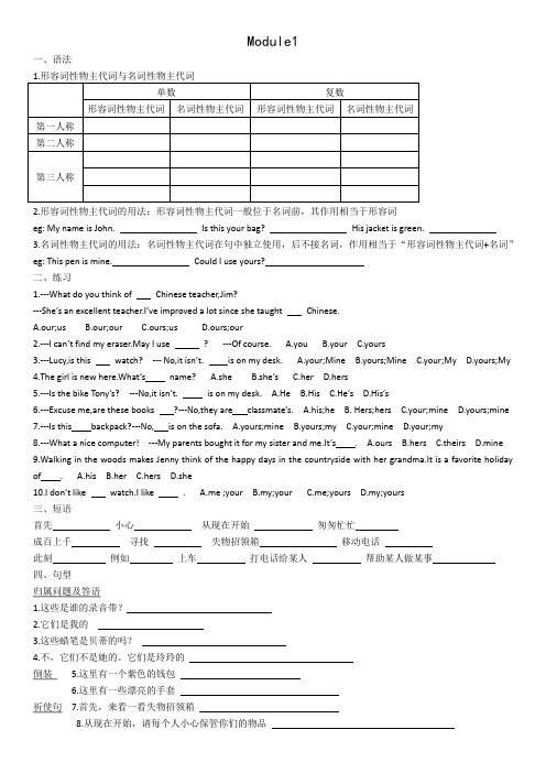 名词性物主代词专练