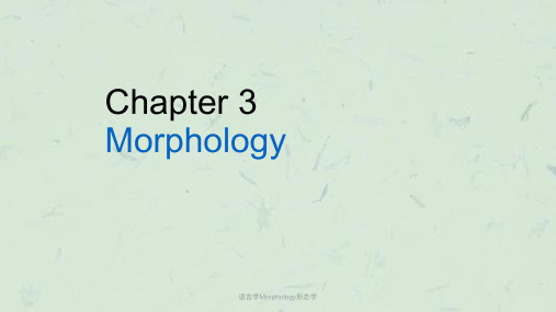 语言学Morphology形态学课件