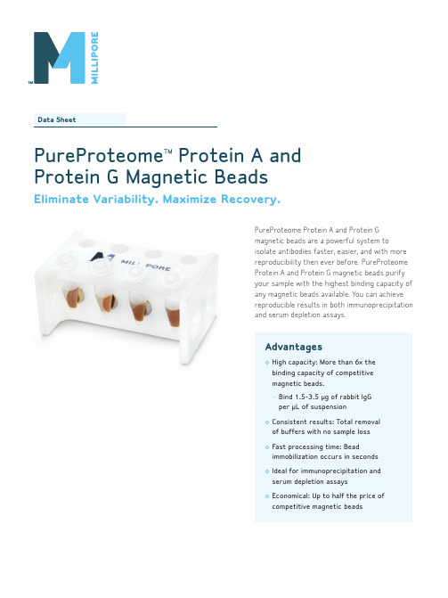 PureProteome Protein A和Protein G磁性珠粒体数据表说明书