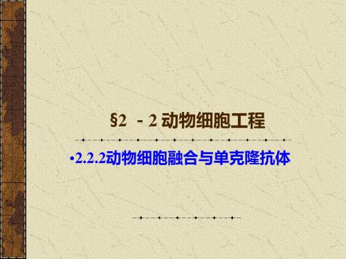 222动物细胞融合和单克隆抗体-PPT精品文档