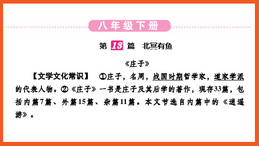 最新部编人教版语文《北冥有鱼》中考语文八年级语文文言文知识点课件PPT复习真题练习题