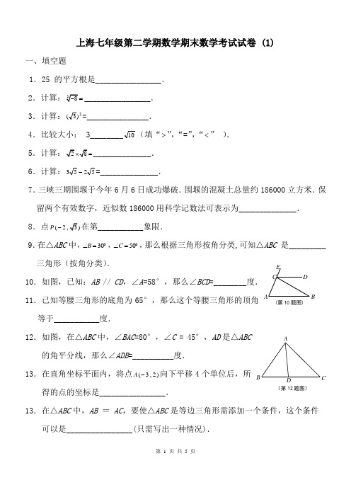 上海七年级第二学期数学期末数学考试试卷.doc