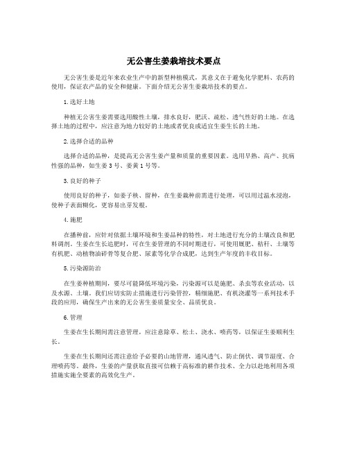 无公害生姜栽培技术要点