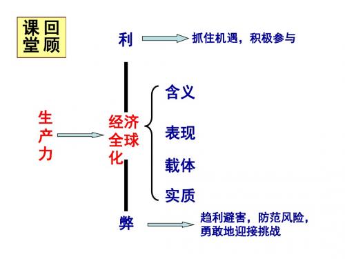 高一政治积极参与国际经济竞争与合作