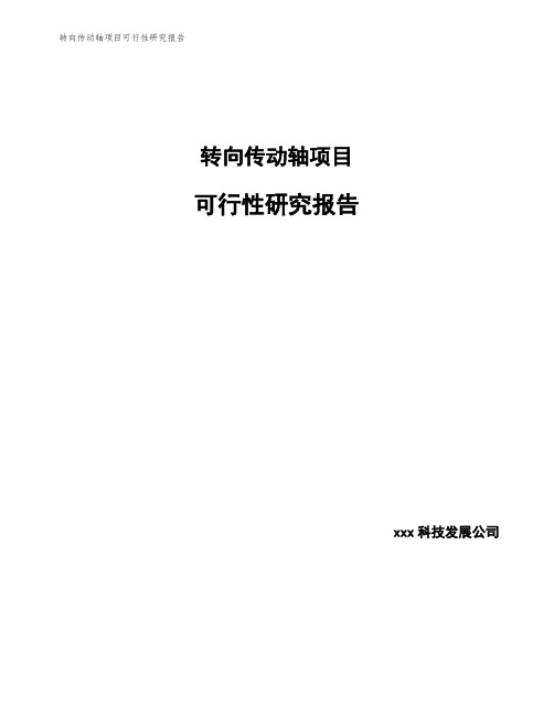 转向传动轴项目可行性研究报告