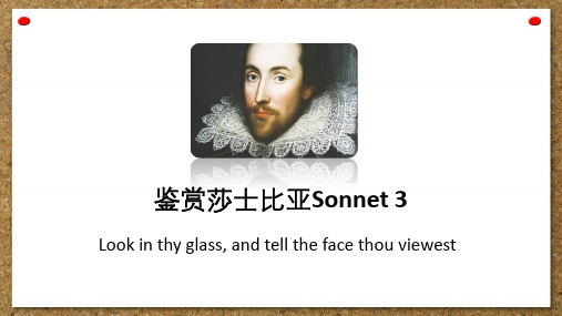 英语诗歌-鉴赏莎士比亚Sonnet 3