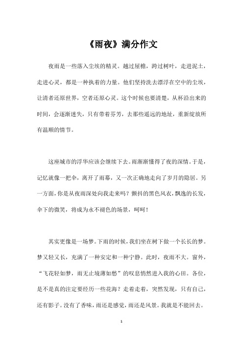 《雨夜》满分作文