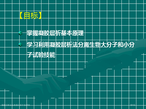 凝胶层析法分离蛋白质专家讲座