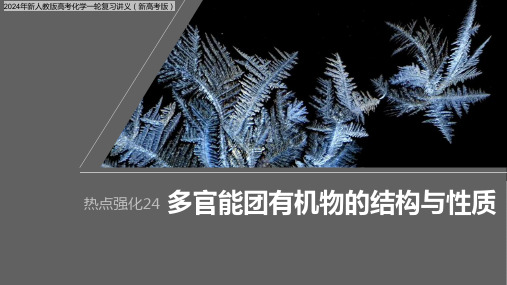 2024年新人教版高考化学一轮复习讲义(新高考版)  第10章 强化24 多官能团有机物的结构与性质