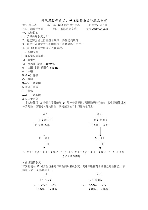 果蝇双因子杂交张玉杰实验报告