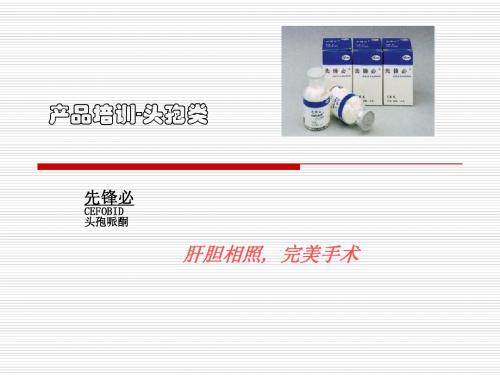 产品培训-先锋必