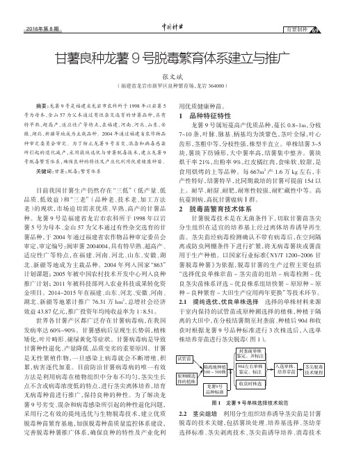 甘薯良种龙薯9号脱毒繁育体系建立与推广