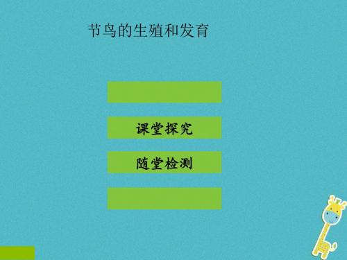 八年级生物下册ppt(73份) 人教版11