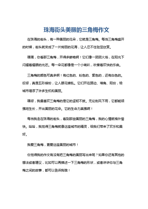 珠海街头美丽的三角梅作文