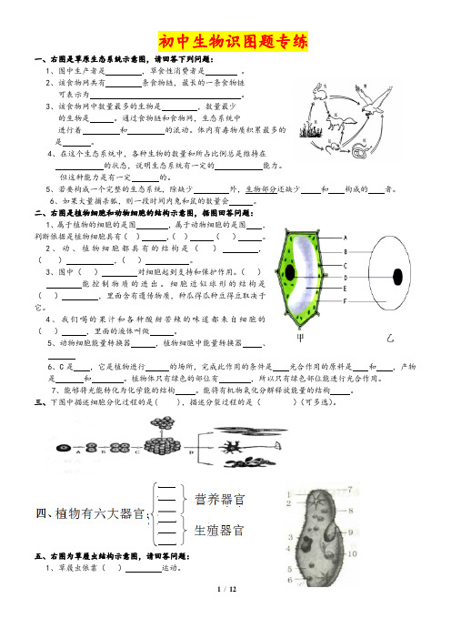 初中生物识图题专练(含答案)