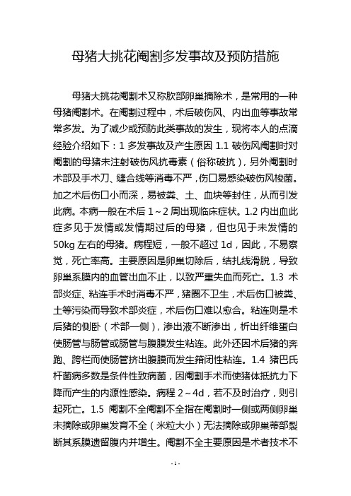 母猪大挑花阉割多发事故及预防措施