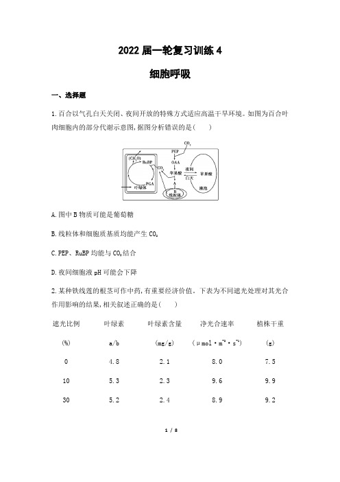 2022届一轮复习训练4细胞呼吸(含答案详解)