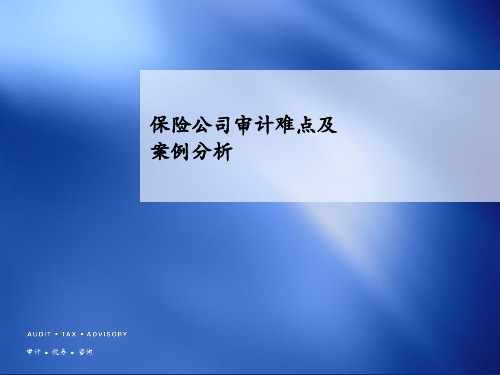 保险公司审计难点及案例分析