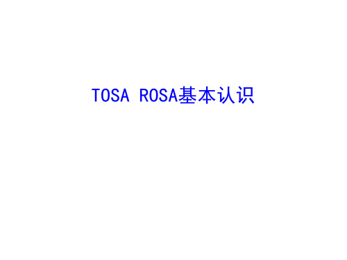 TOSA ROSA基本知识