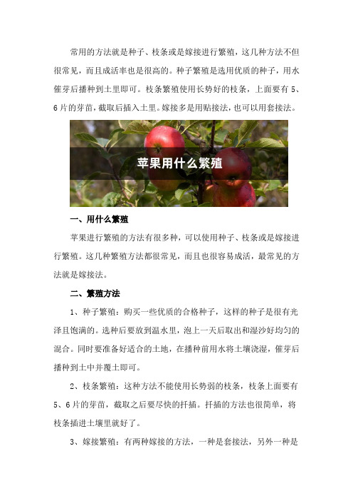 苹果用什么繁殖