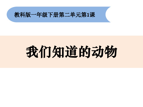一年级科学下册课件-2-1《我们知道的动物》教科版 (共11张PPT)