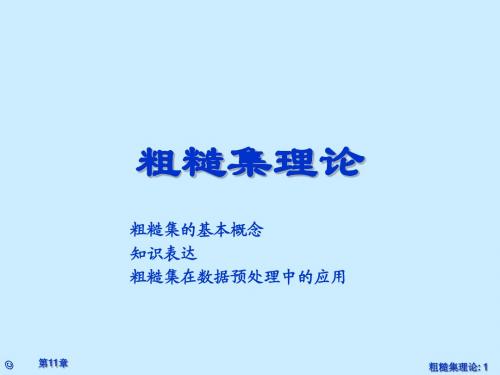 粗糙集理论