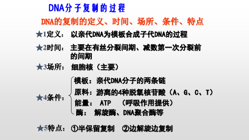 必修2DNA半保留复制(共12张PPT)