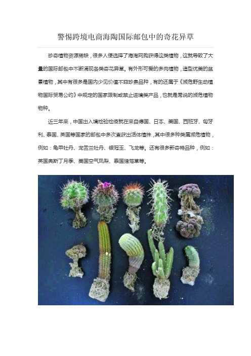 警惕跨境电商海陶国际邮包中的奇花异草