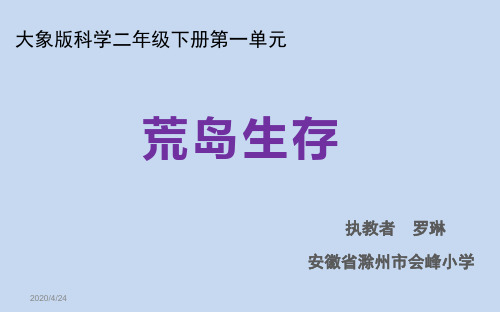 二年级下册科学《1.荒岛生存》课件 大象版