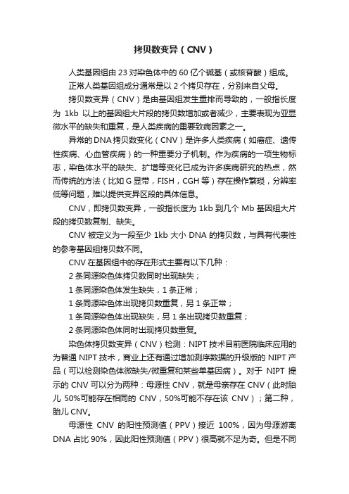 拷贝数变异（CNV）