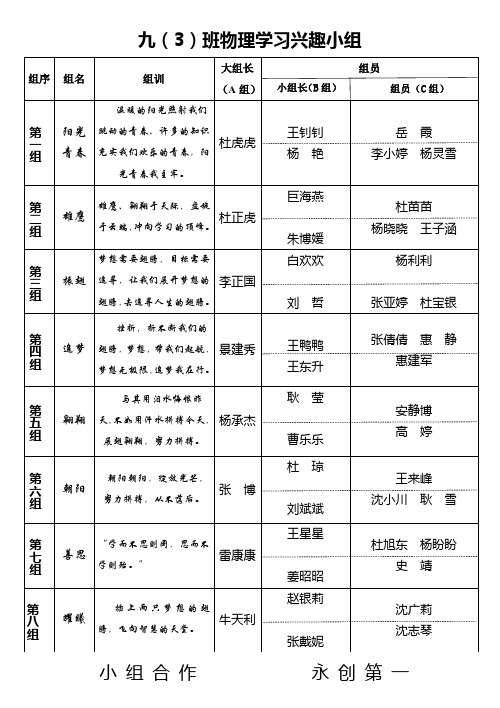 九(3)班物理学习兴趣小组