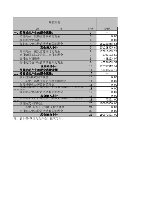 (最新)现金流量表房地产(精品)