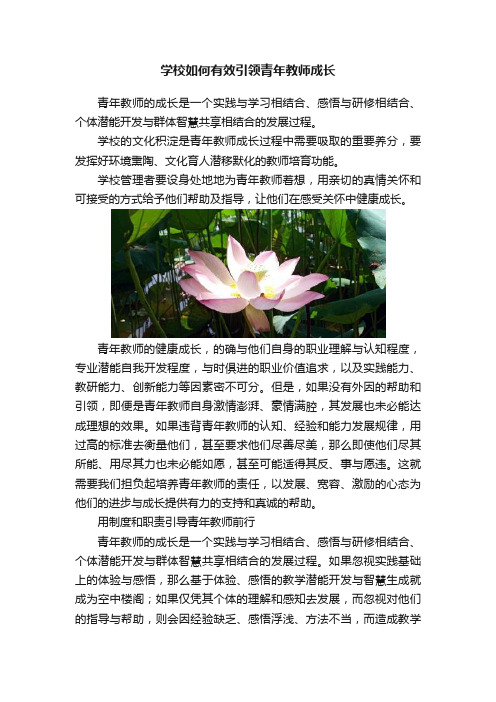 学校如何有效引领青年教师成长