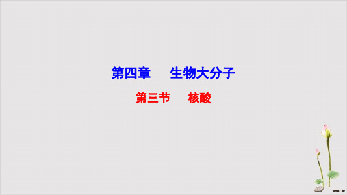 核酸课件高二下学期化学人教版选择性必修