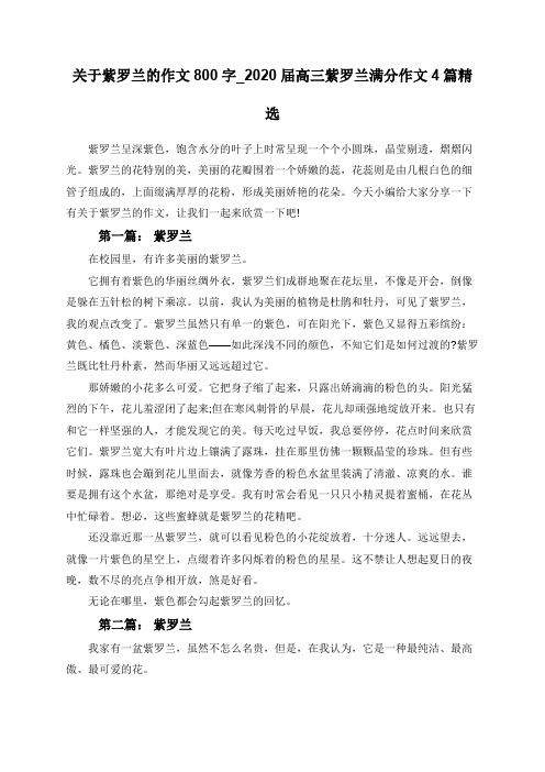 关于紫罗兰的作文800字_2020届高三紫罗兰满分作文4篇精选