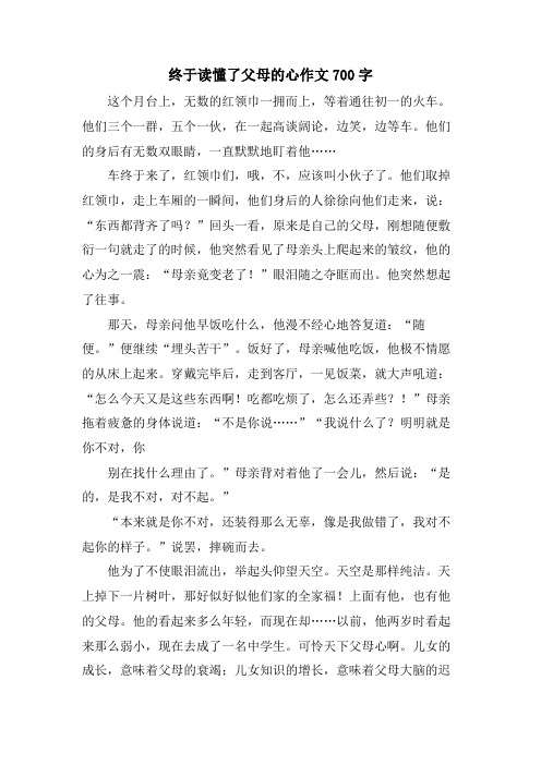 终于读懂了父母的心作文700字