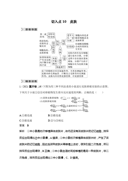 切入点10 皮肤-2024届高三二轮复习生物学(新教材)