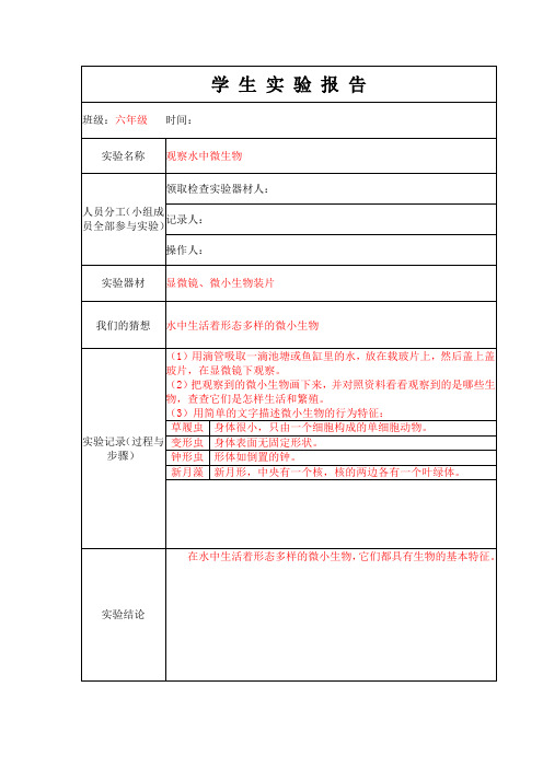 6.观察水中微生物