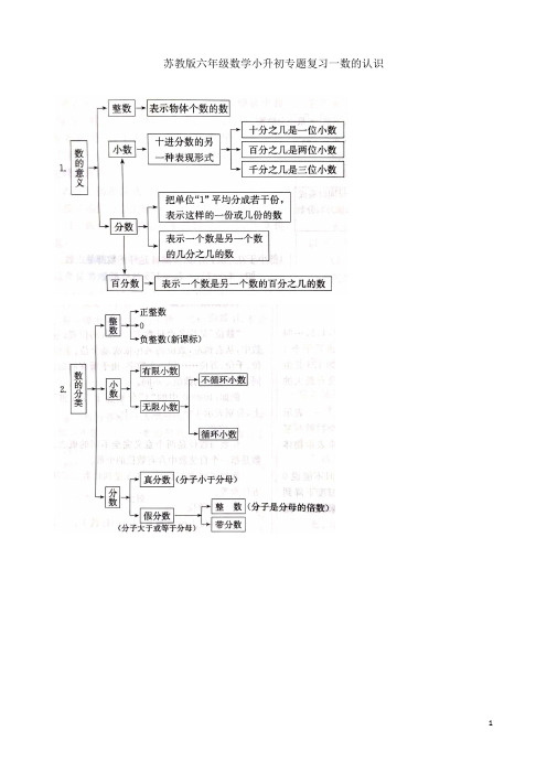 苏教版六年级数学小升初专题复习一数的认识 