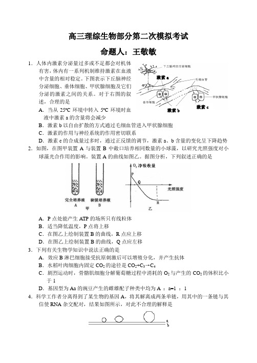 高三理综生物部分第二次模拟考试.doc