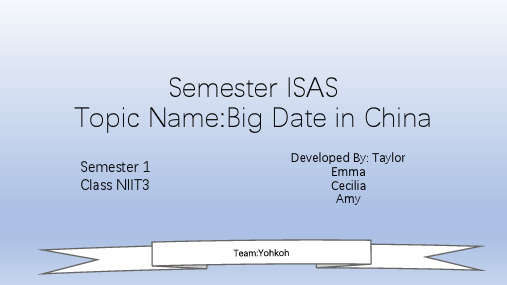 BIG DATA 大数据 英文演讲ppt