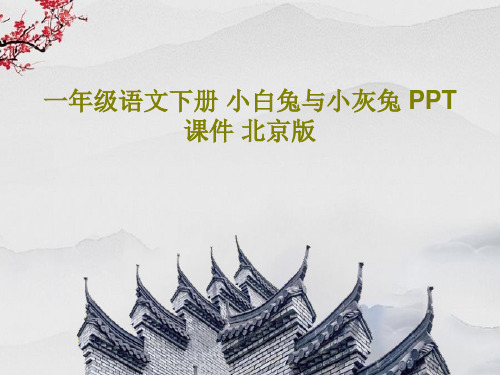 一年级语文下册 小白兔与小灰兔 PPT课件 北京版共16页文档