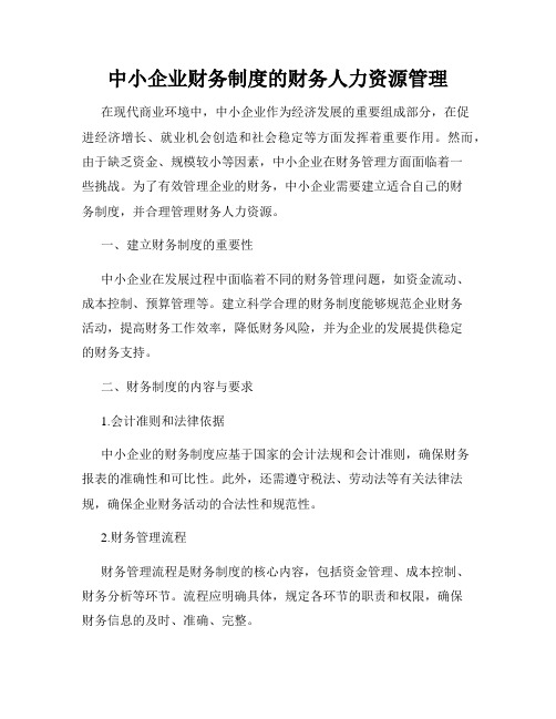 中小企业财务制度的财务人力资源管理