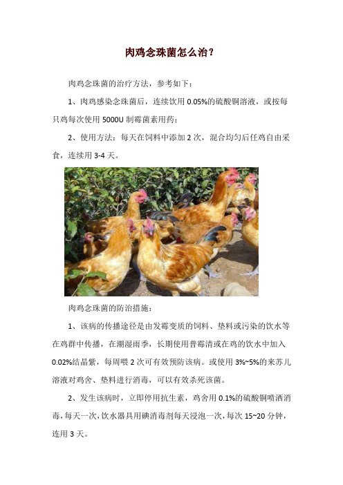 肉鸡念珠菌怎么治？