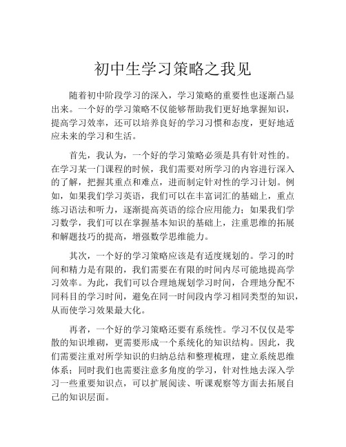 初中生学习策略之我见