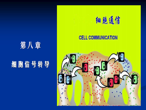 细胞生物学第8章细胞信号传导