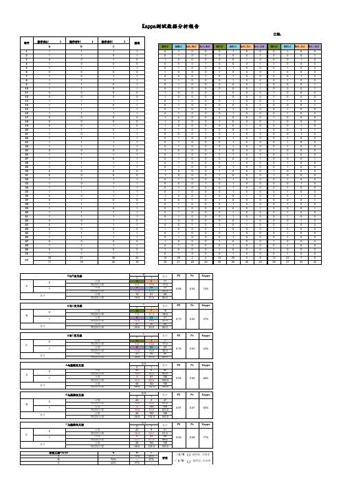 Kappa测试数据分析报告