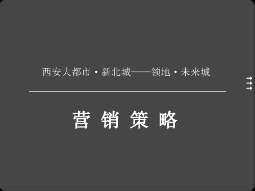 XXXX年西安大都市·新北城——领地·未来城营销策略